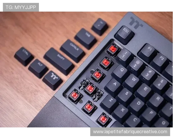 k8官网体育app多平台兼容使用指南，支持多设备无缝切换体验